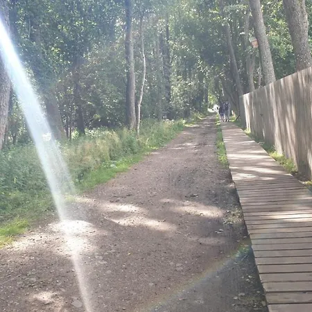 Nedidelis, Jaukus Namelis Palangoje, Ciki Puki Poilsio namai *